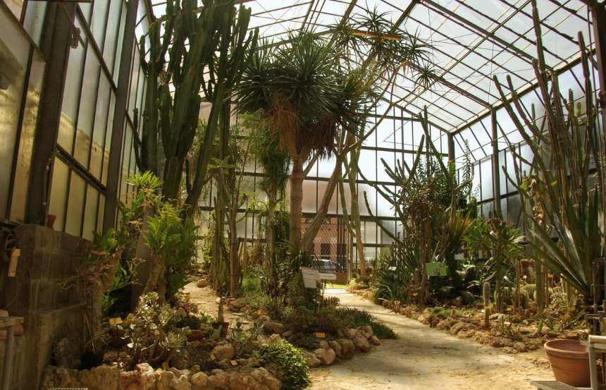 Jungle Siena: alla scoperta dell’anima verde della città