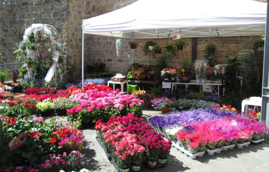 12esima edizione di Casole Fiorita: fiori e tradizioni protagonisti del weekend primaverile a Casole d’Elsa
