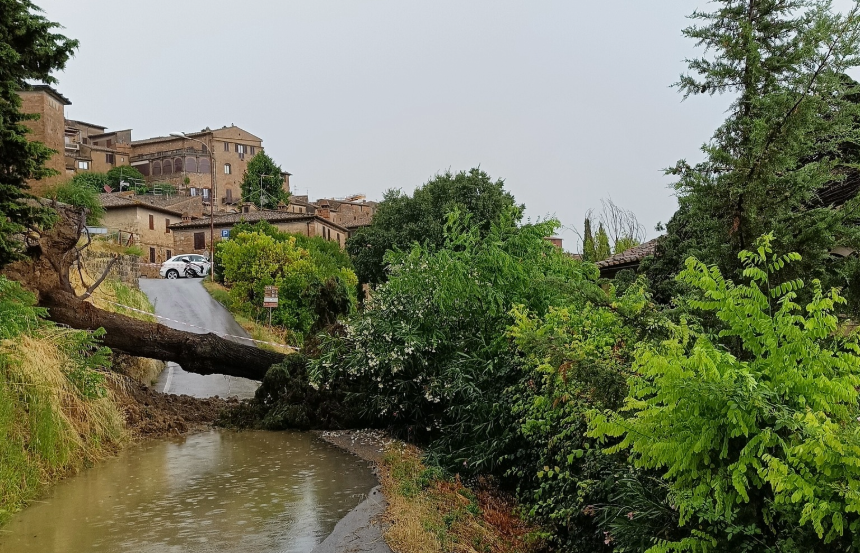 San Gimignano, gravi danni per il maltempo: alberi crollati, strade chiuse e blackout