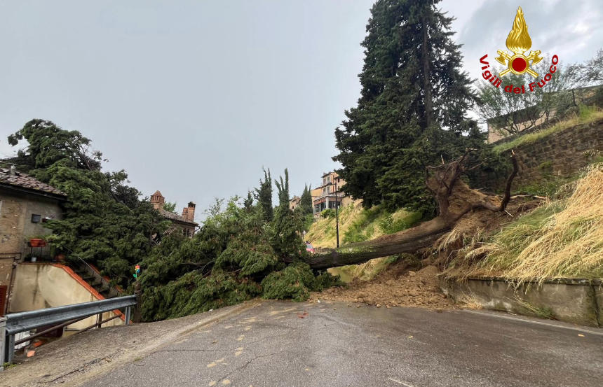 San Gimignano colpita duramente dal maltempo: albero caduto su un edificio, blackout e strade allagate