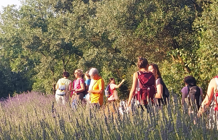 Rapolano Terme, trekking e yoga: il 21 settembre un'esperienza tra natura e benessere