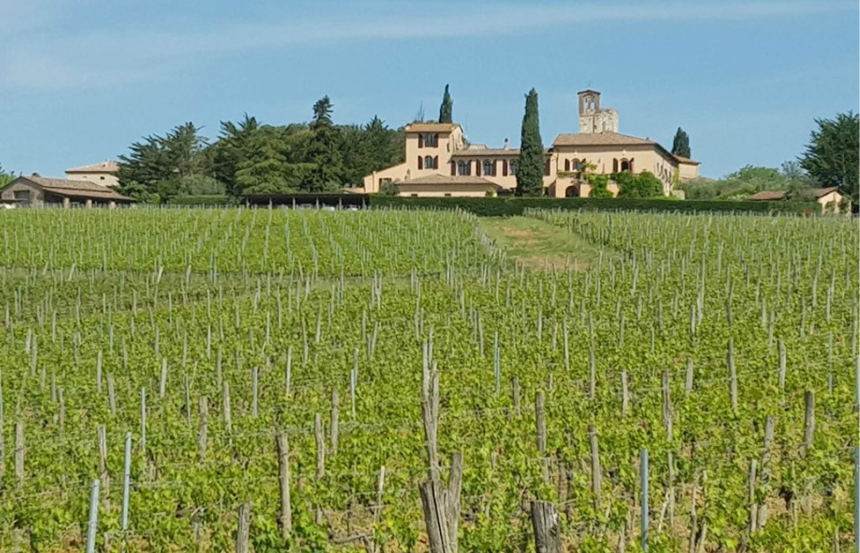 Castelnuovo Berardenga rinnova la sua adesione alla Camminata tra gli Olivi dell'associazione Città dell'olio