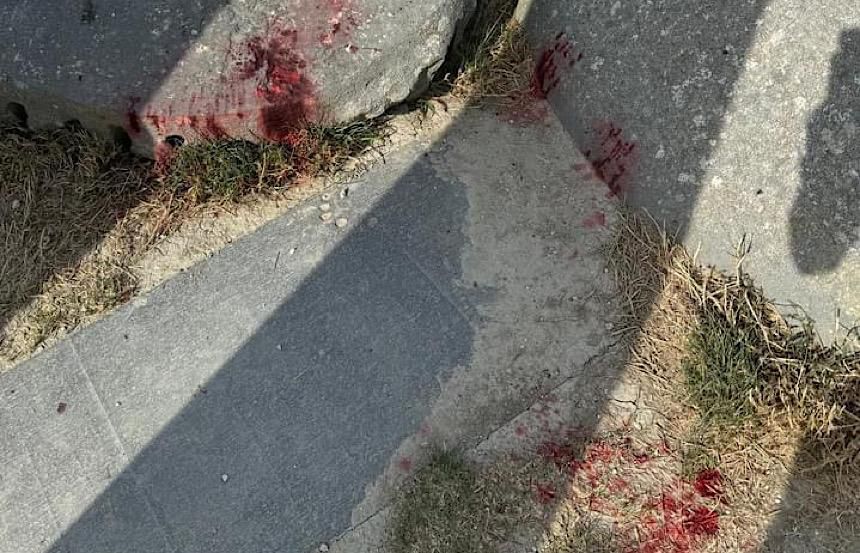 Vandalismo al sito transitorio di Leonina: amministrazione comunale condanna l'atto e avvia le prime operazioni di pulizia